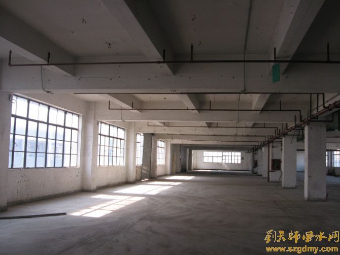 深圳风水大师刘椰荣至坂田工业区厂房风水勘测4.jpg