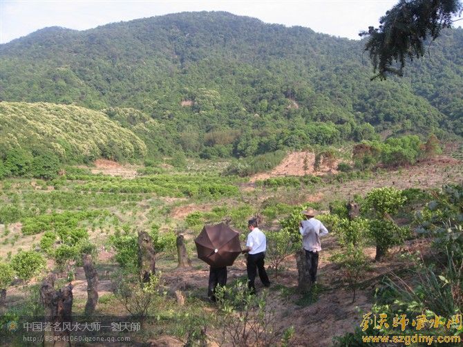 中国风水大师刘椰荣至清远佛冈勘测祖坟风水15.jpg