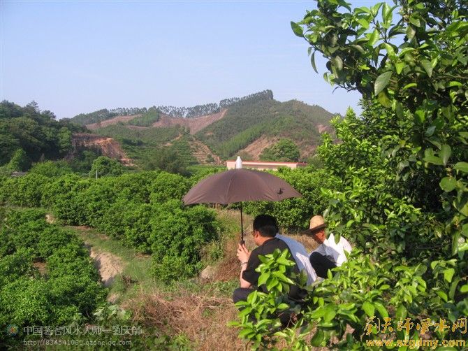 中国风水大师刘椰荣至清远佛冈勘测祖坟风水12.jpg